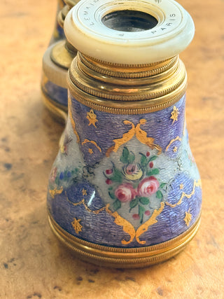 Antique French Lemaire Floral & Bird Enamel Opera Glasses