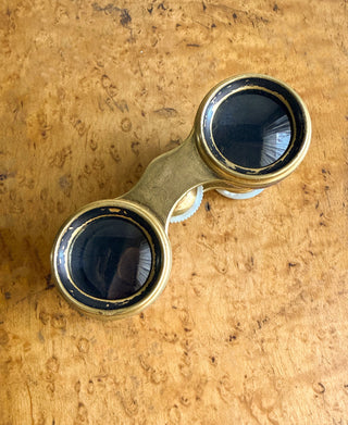 Antique French Lemaire Floral & Bird Enamel Opera Glasses
